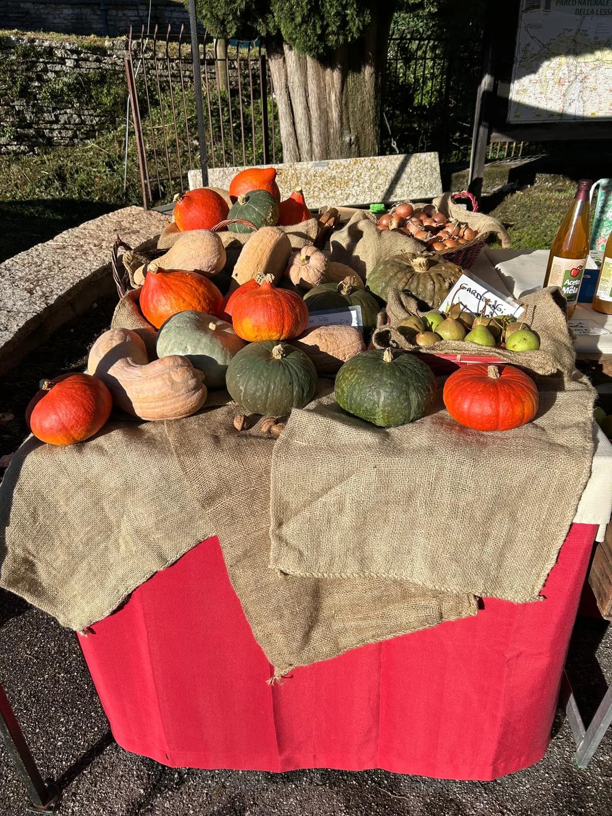 Autunno contadino a Molina di Fumane 4 Ottobre 2026 — foto 3