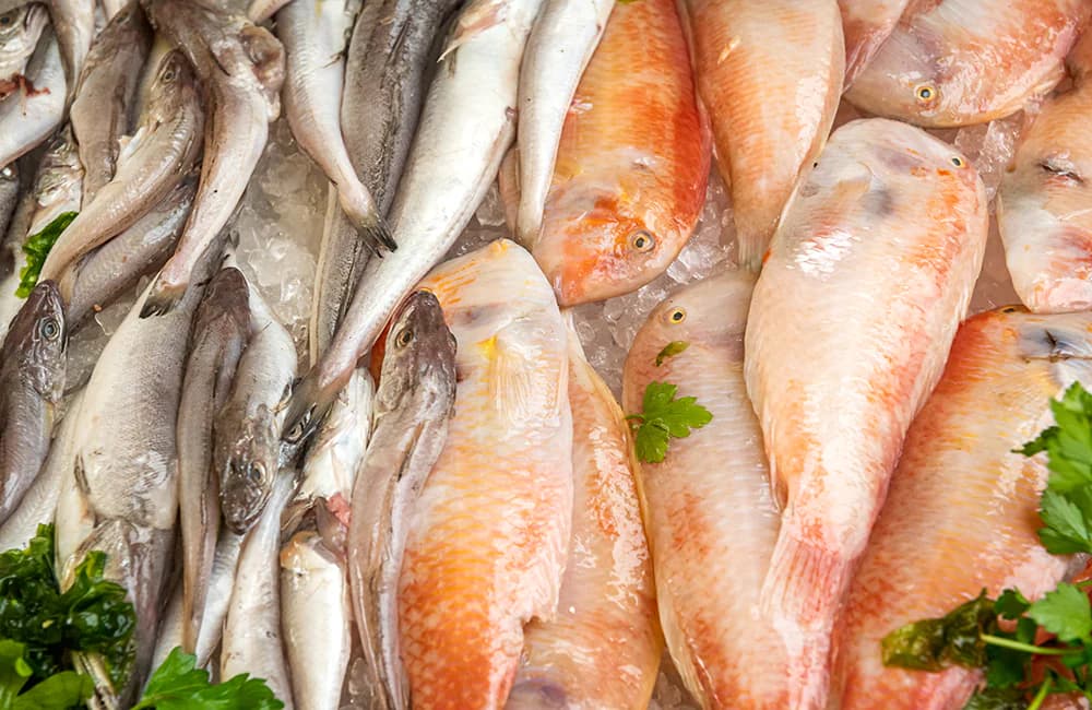 Festa del pescato di paranza