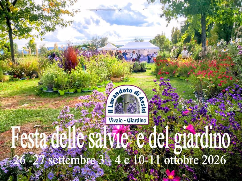 Festa delle Salvie e dell'Autunno (Salbei- und Herbstfest) — foto 2