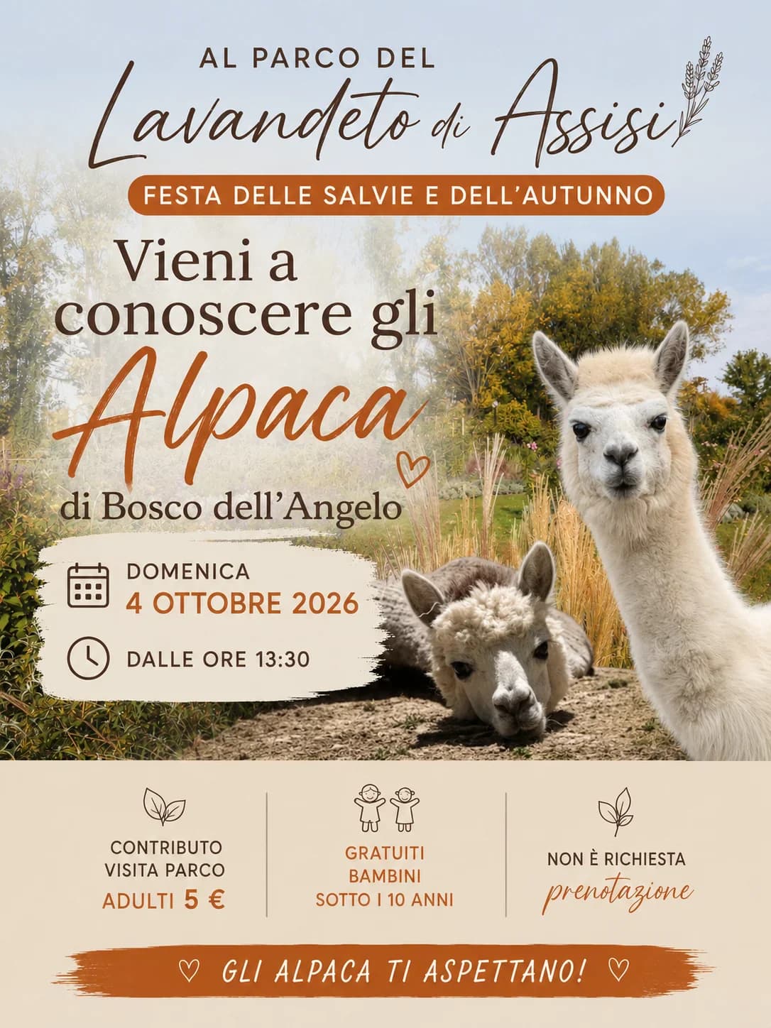 Festa delle Salvie e dell'Autunno (Salbei- und Herbstfest) — foto 4