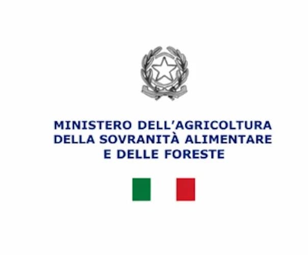 46^ edizione Sagra Sanleota (46th edition Sanleota Festival) — foto 3