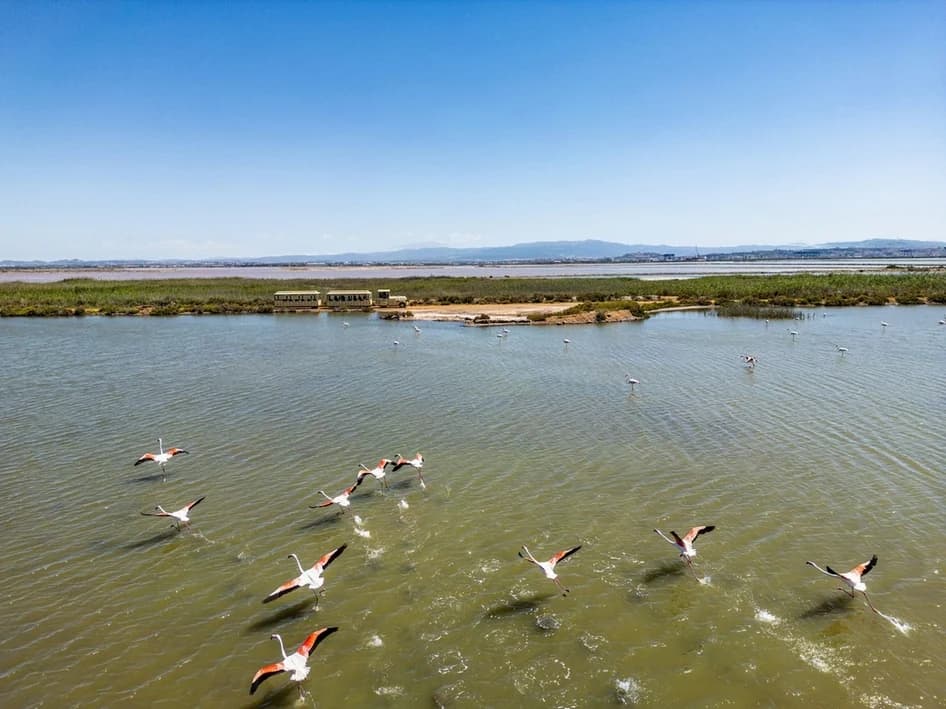 SERE FAI D’ESTATE alle Saline Conti Vecchi ad Assemini