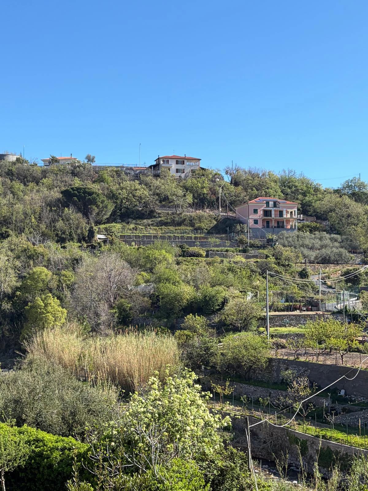 ULIVISSIMA 2026 (Olive Festival in Toirano) — foto 3