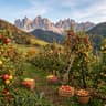 Mela Alto Adige