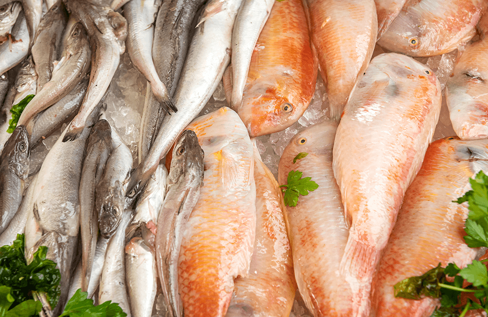 Festa del pescato di paranza