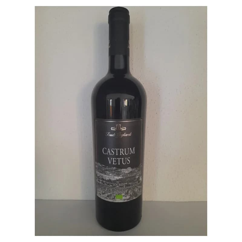 Castrum Vetus